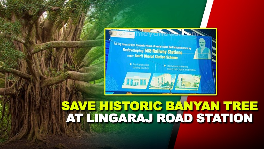 Save 200-Year-Old Banyan Tree in Bhubaneswar