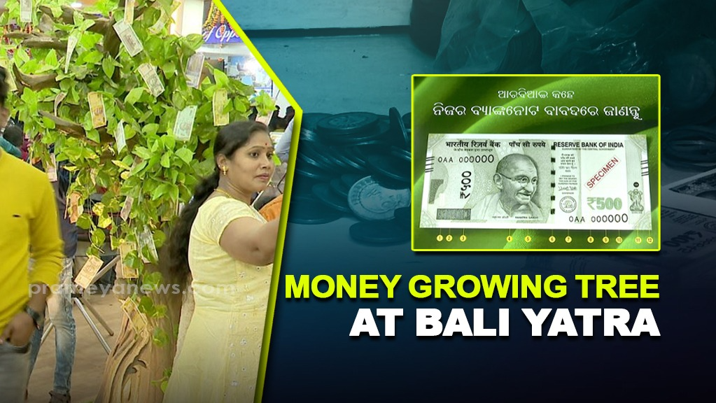 Bali Yatra 2024: RBI's Money Growing Tree Promotes Financial Awareness