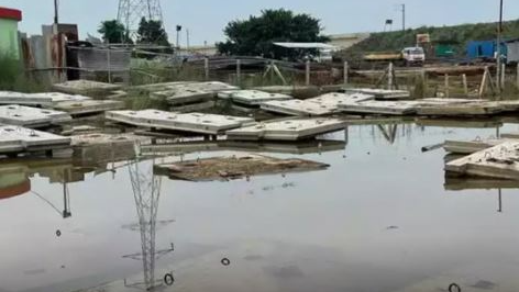 NGT orders removal of illegal encroachments on Odisha’s Luna River