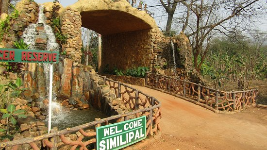Odisha government establishes Armed Police Company to boost security in Similipal Tiger Reserve