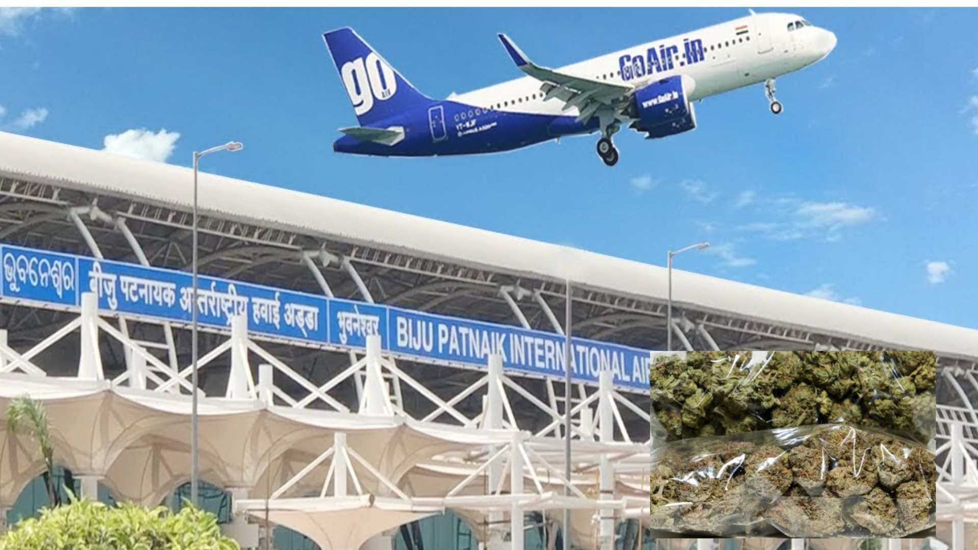 Ganja worth 4 Cr seized at Bhubaneswar Airport, one arrested