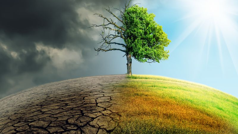 Odisha signs 3 MoUs to combat climate change and sustainable future