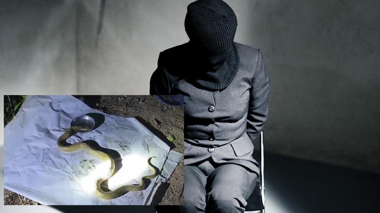 Police rescue 4 abducted youths from Odisha's Ganjam