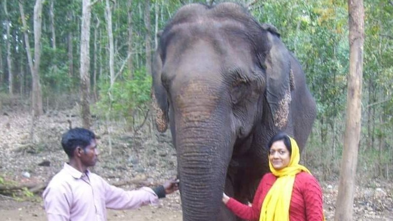 62-Year-Old Kumki Elephant Bhabani Passes Away at Similipal