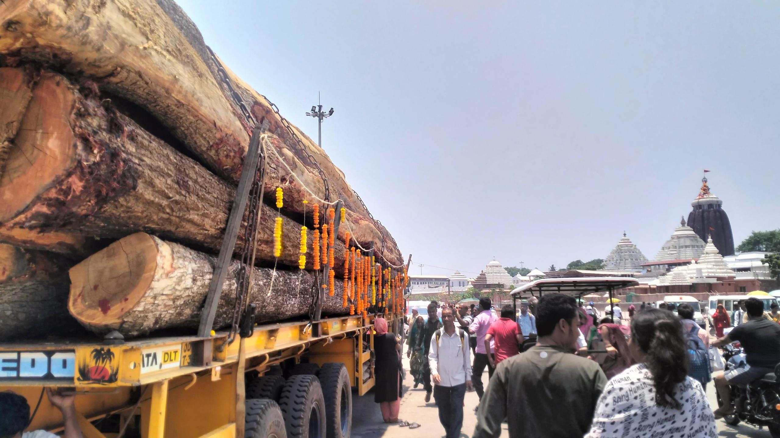 Puri Rath Yatra: First lot of logs leaves for Puri for chariot construction