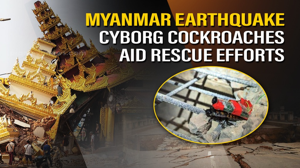Singapore deploys Cyborg Cockroaches in Myanmar Earthquake rescue efforts