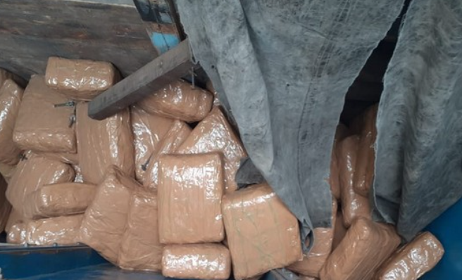 Ganja worth Rs 10 cr seized in Odisha's Koraput, one held