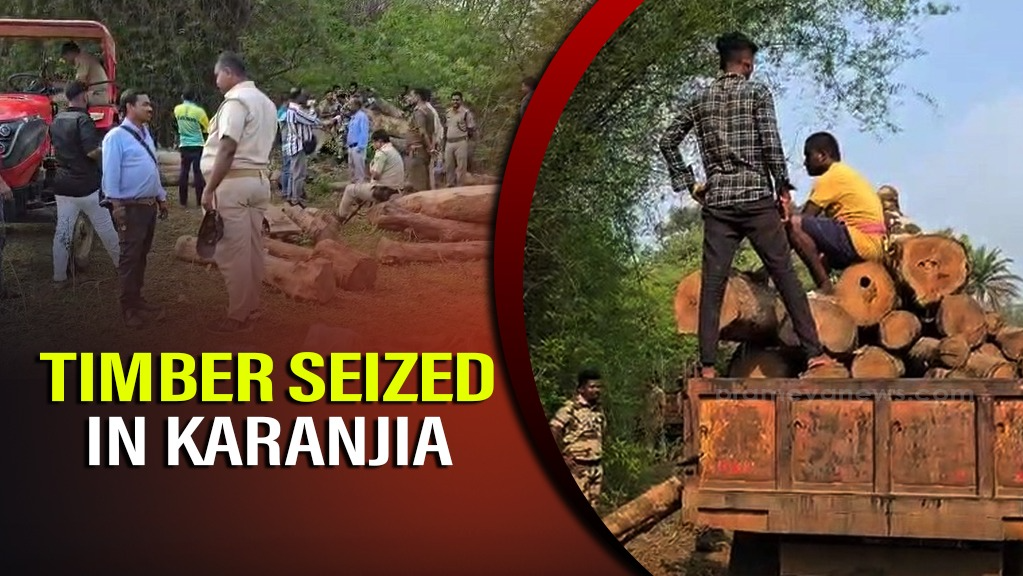 Timber seized in Karanjia, smugglers flee