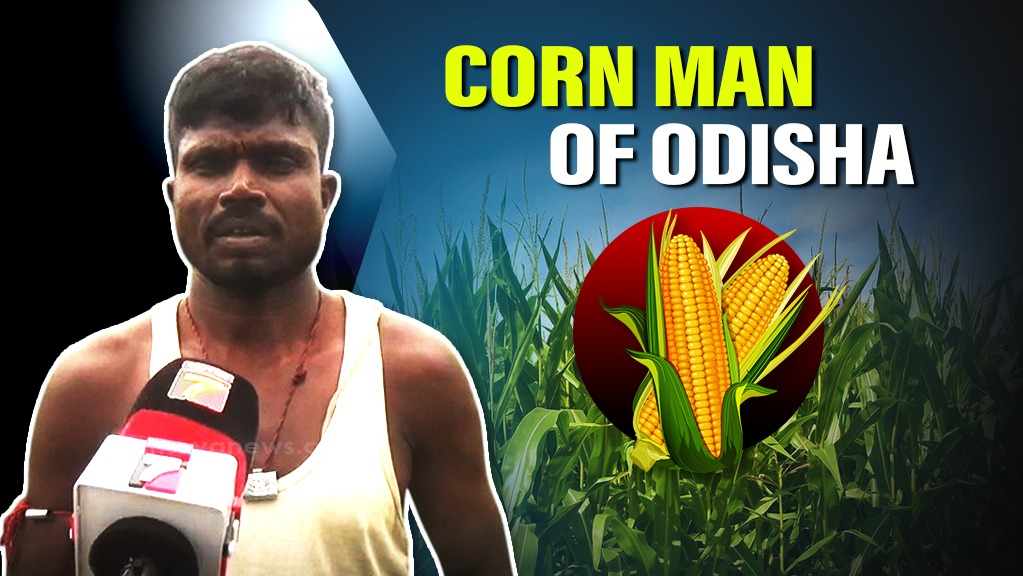 Sweet Corn farming brings joyful livelihood: Read the successful story of Mangala Dehury