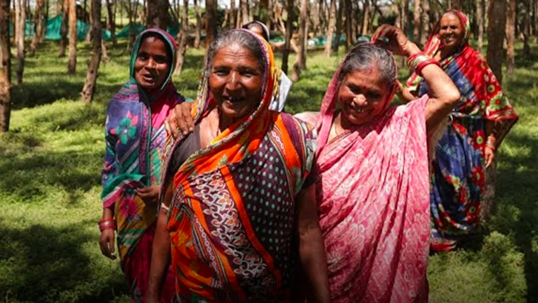 Meet Odisha's 'Benga Mausi' who shield her village from Cyclone 