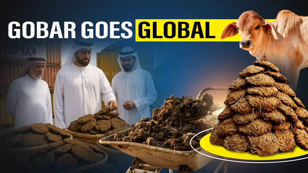 In a remarkable twist to traditional agriculture, India’s cow dung exports have soared to Rs 400 Cr in the financial year 2023–24, positioning the humble by-product as a high-value commodity in the global market.