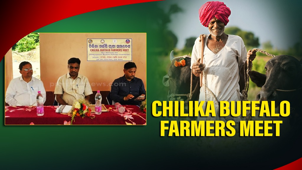 Chilika Buffalo farmers meet highlights conservation & support plans