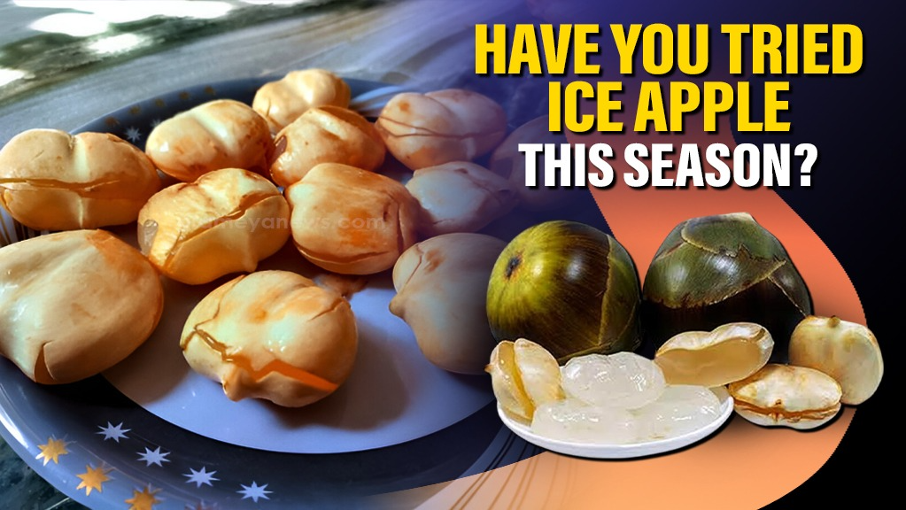 Have you tried Ice apple this season? Know the benefits 