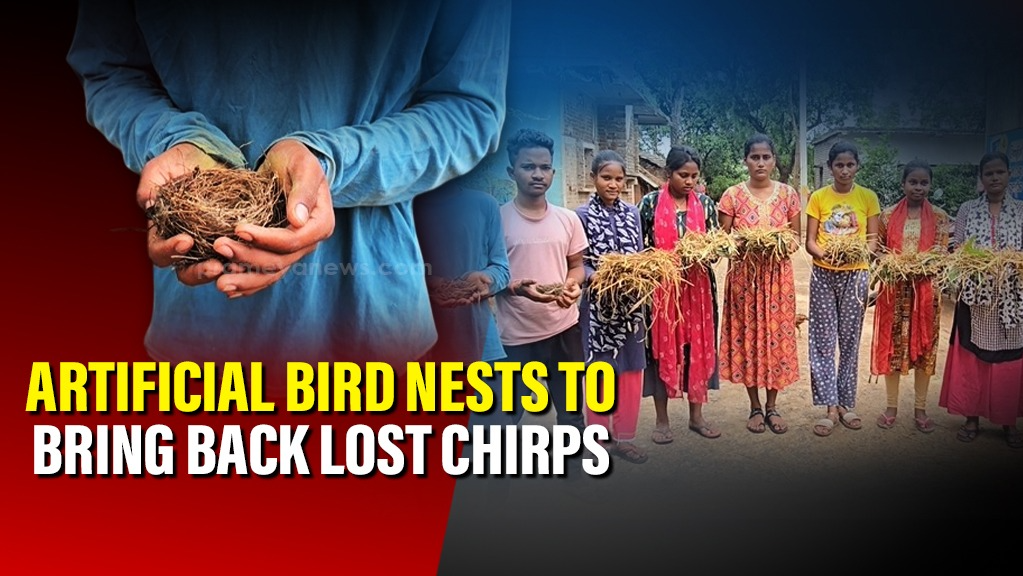 Odisha Youth Build Nests to Bring Back Birds