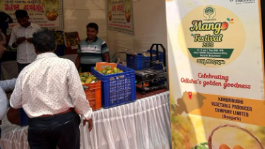 Organic Mangoes steal show at NABARD’s three-day festival in Bhubaneswar