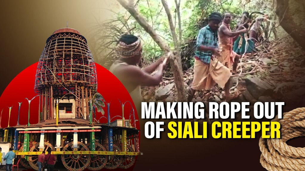 The unique tradition of using "Siali Rope" during Keonjhar’s Rath Yatra