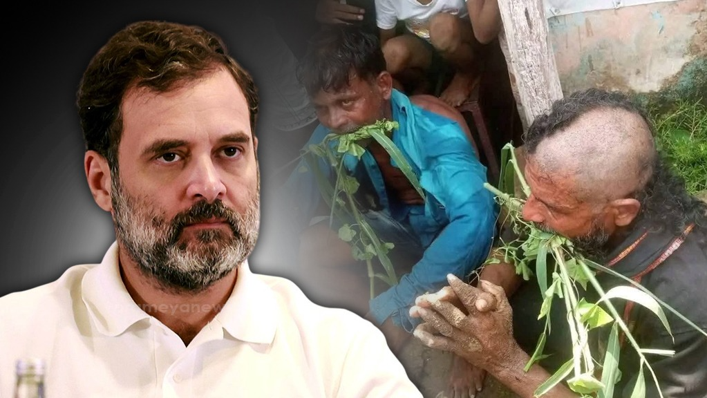 Congress Probes Dalit Torture Case in Odisha Over Cow Smuggling Allegation