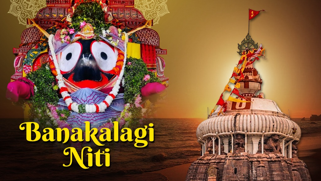 Banakalagi Rituals: Public Darshan of Lord Jagannath and siblings closed for 5 hrs 
