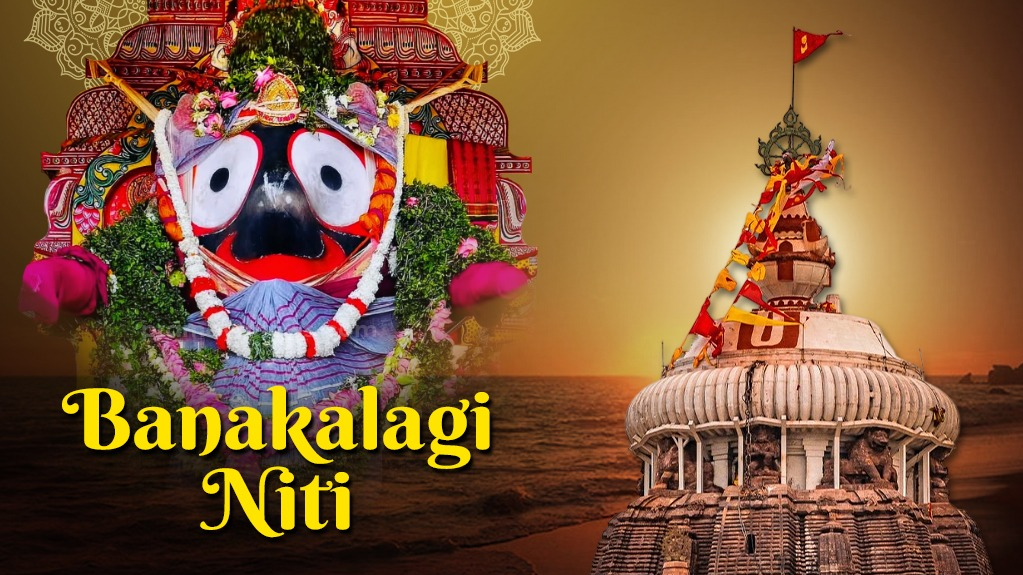Banakalagi Niti: Public Darshan of Lord Jagannath and siblings closed for 4 hrs tomorrow
