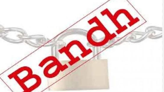 12-Hour Bandh observed in G. Udayagiri over elephant menace