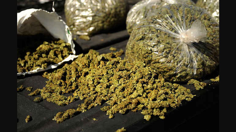 Padua police seize 3 quintals of Ganja, arrest three smugglers