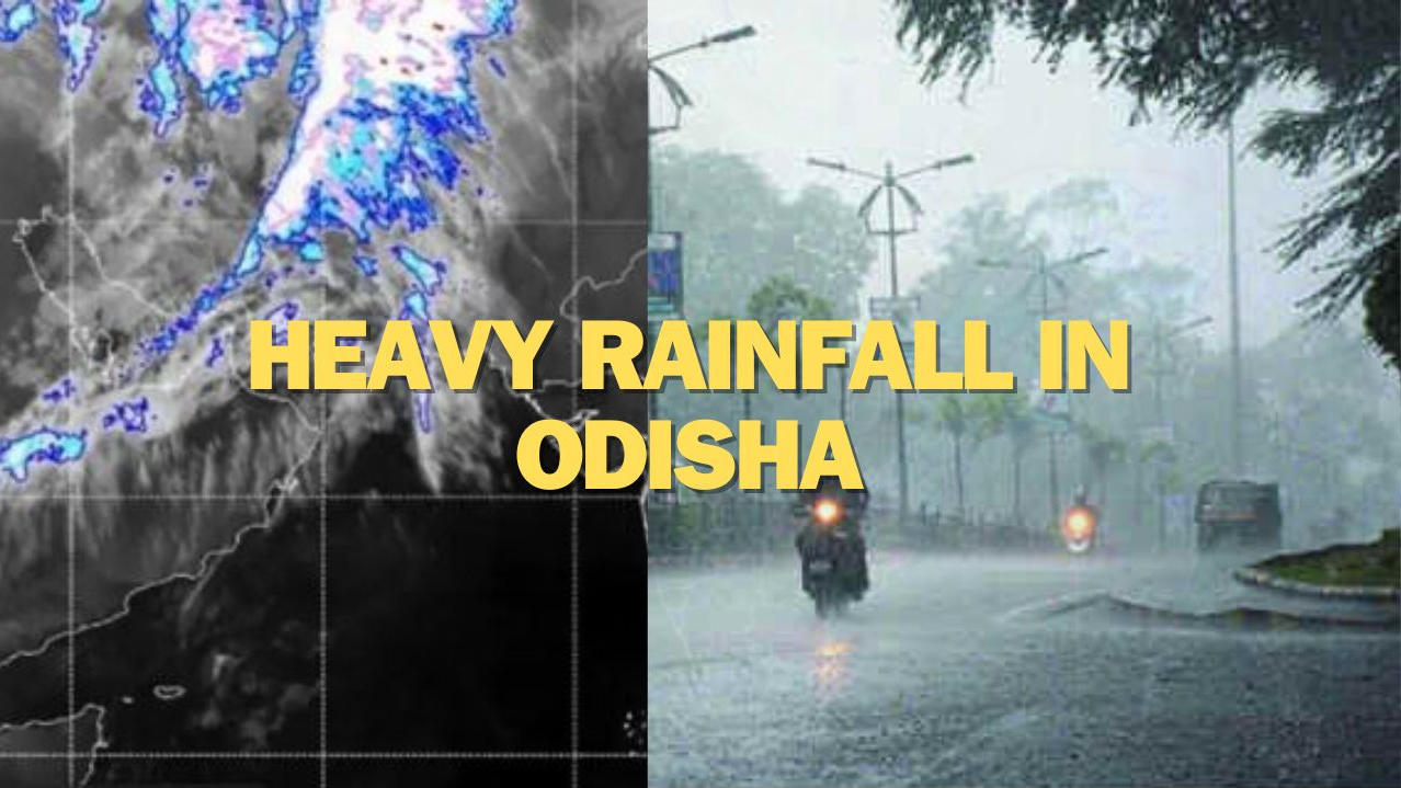 These districts of Odisha to experience rain during next 24 hours   Prameya News