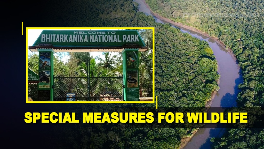 Bhitarkanika National Park takes special measures to save wild animals during Cyclone Dana