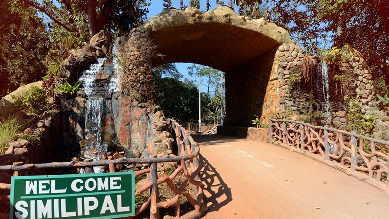 Odisha: Similipal Tiger Reserve reopens for tourists