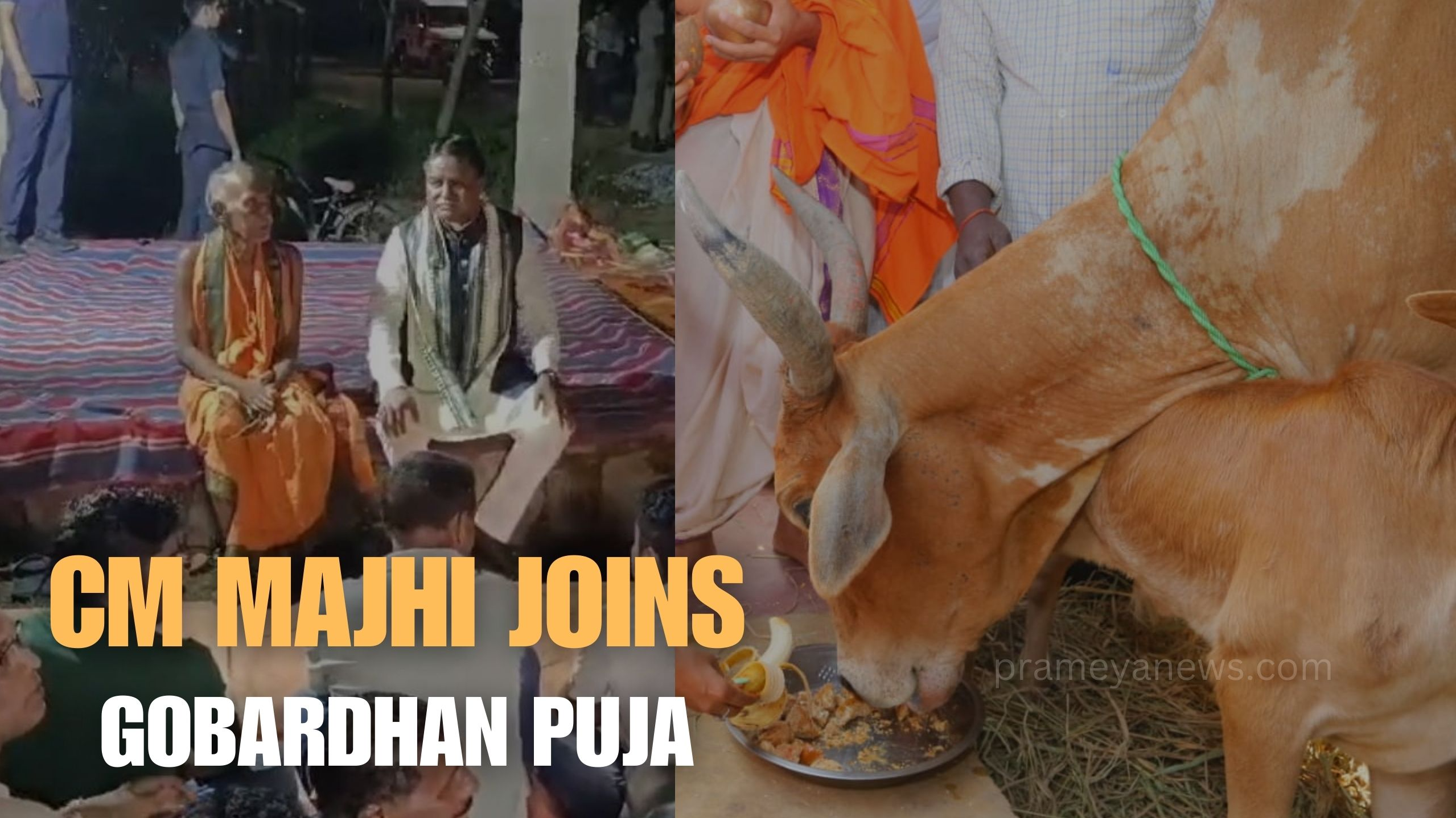 Odisha CM Mohan Majhi joins ‘Gobardhan Puja’ in village: Know details about this tribal festival