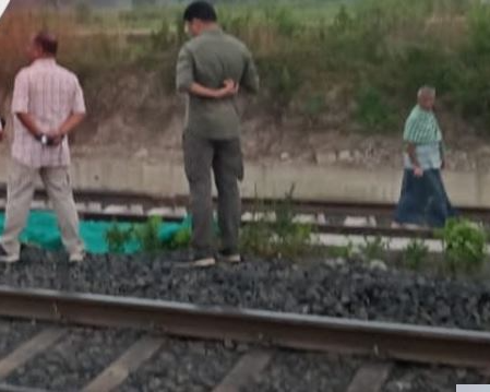 Elephant dies after being hit by goods train in Odisha’s Dhenkanal