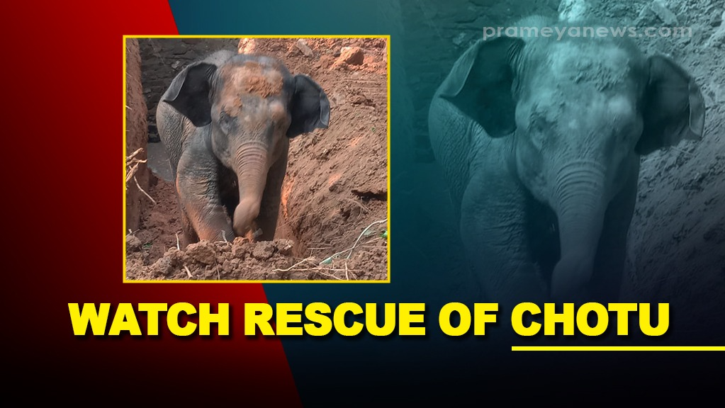 Watch Video: Baby elephant ‘Chotu’ being rescued from abandoned well in Odisha 