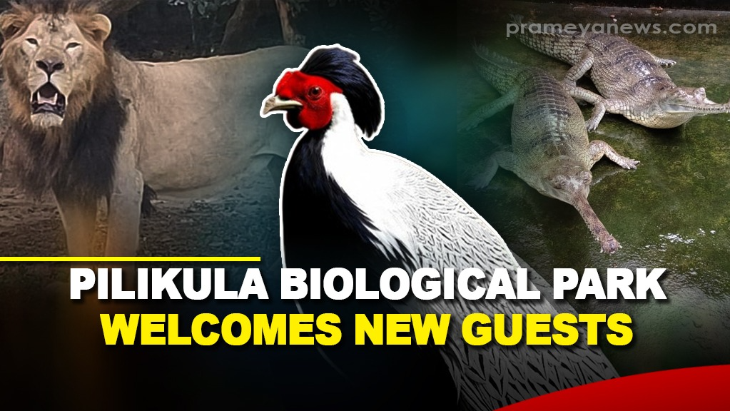 Karnataka’s Pilikula Biological Park welcomes new guests from Nandankanan Zoo in Bhubaneswar