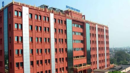 Odisha High Court initiates suo moto proceeding in elephant death case, directs PCCF’s appearance 