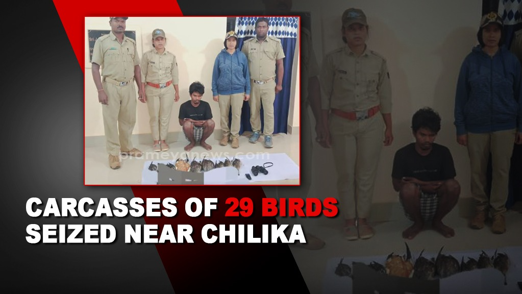 Poacher arrested with carcasses of 29 birds near Chilika lagoon