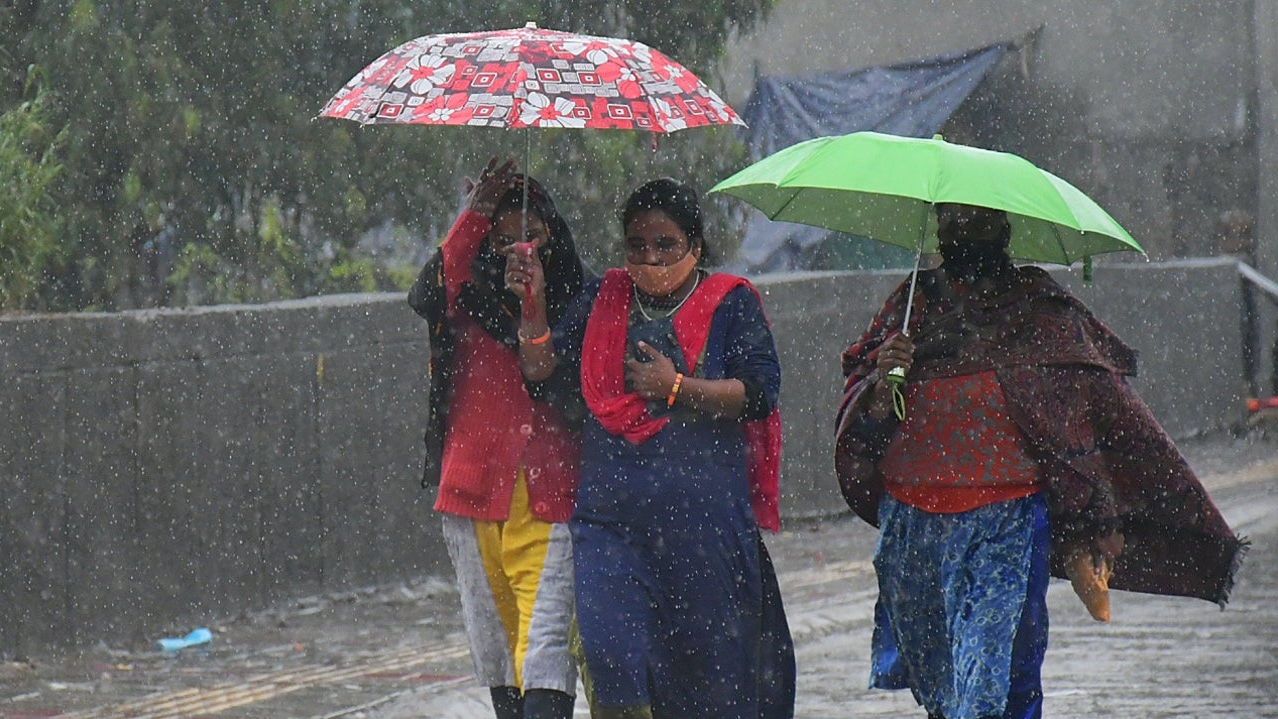 Rain lashes most parts of Odisha: IMD predicts rain in these districts during next 24 hours