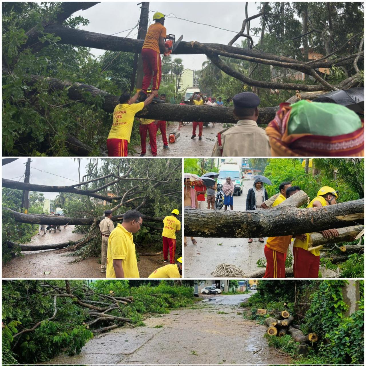 Cyclone Dana: Heavy rain, stormy wind hit lives in Bhadrak; Dhusuri Police responds to road blockade & restores communication 