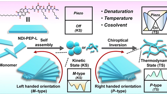 Peptide-based tuneable piezo-responsive nanomaterials can help in energy harvesting, biodevice applications