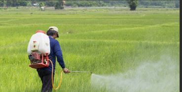 Nano Urea is made available at Pradhan Mantri Kisan Samridhi Kendras