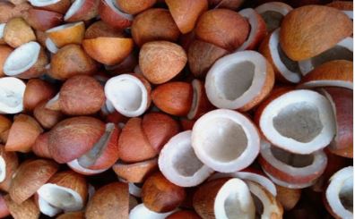 MSP for copra increased to Rs 12,100 per quintal