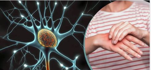 Guillain-Barre Syndrome; Know signs, symptoms and effect 