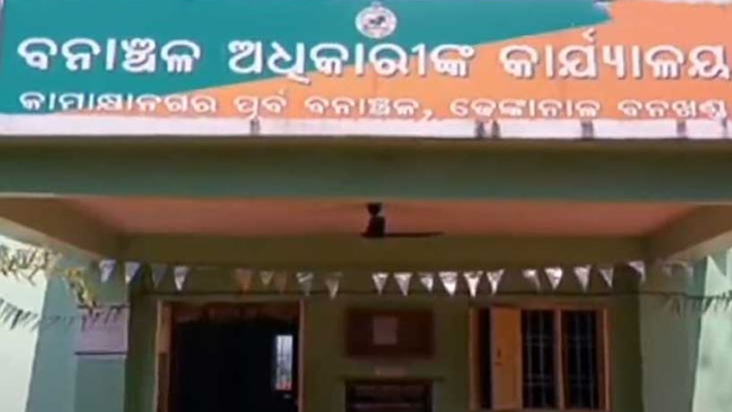 Elderly man killed by elephant in Dhenkanal
