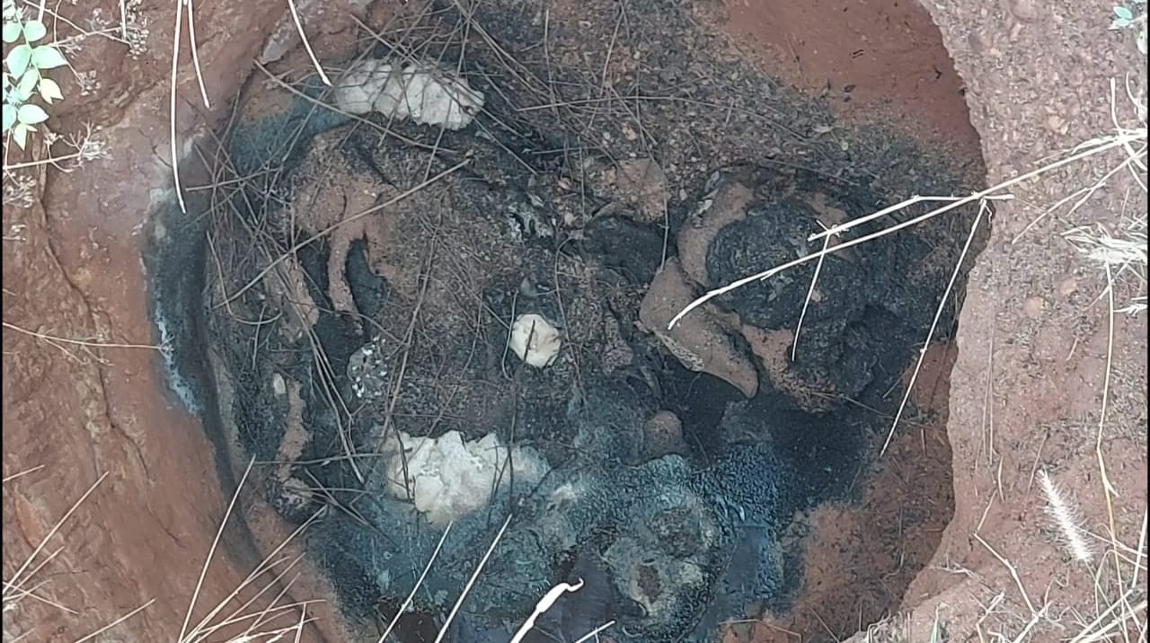 Another elephant found dead in Athagarh: Carcass spotted in dry well