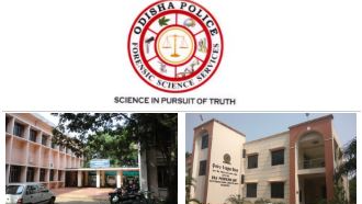 Jobs in Odisha Police: Govt. approves 247 posts in forensic science wing 