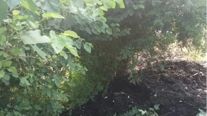UP vendor buried alive under sludge dumped by sewer cleaners
