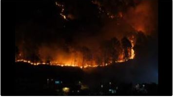 Wild flare in Reasi Forest, J&K: Wildlife at stake!