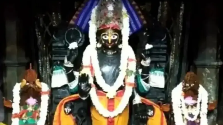 Snana Yatra of Trinity in Puri concludes: Devotees head towards Alarnath Shrine in Brahmagiri