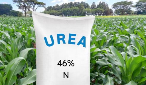 Govt recommends balanced, judicious use of fertilizer 