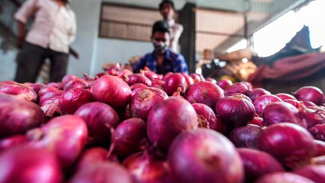Onion export duty