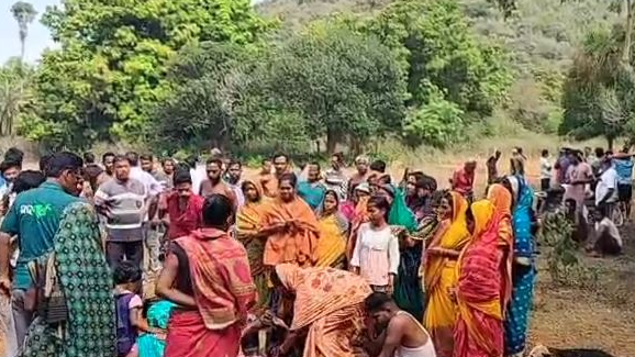 Woman trampled to death by elephant in Odisha’s Khordha