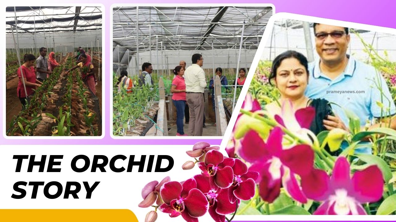 From Camouflage to cultivation: The Orchid story of Colonel Sujan Mohanty